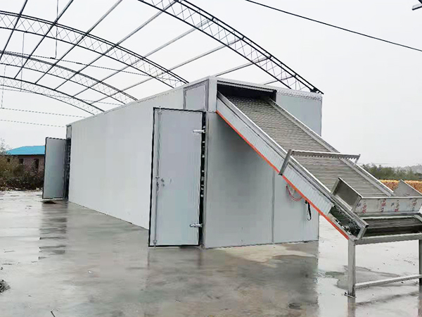 网带式中药类烘干