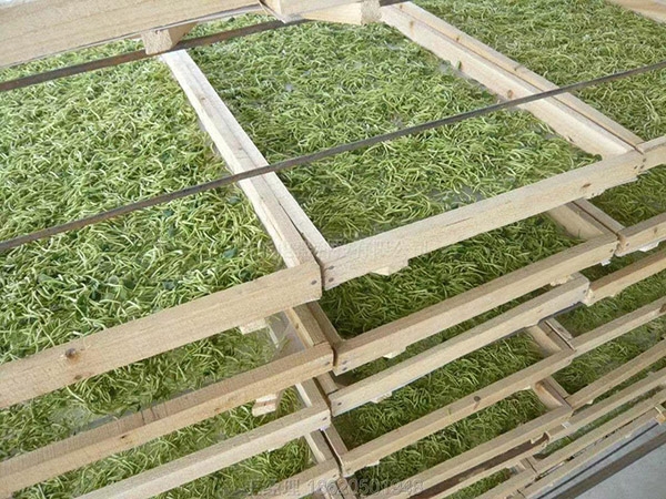 中草药烘干机